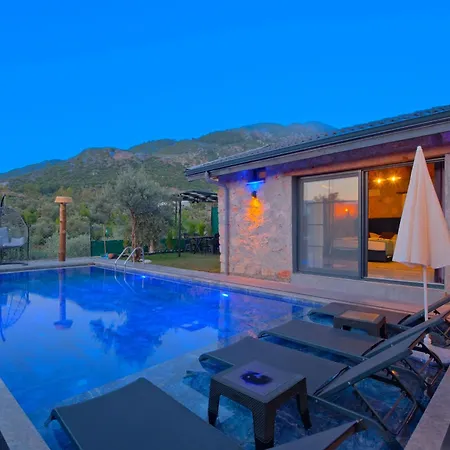 Villaoliveterrace Βίλα