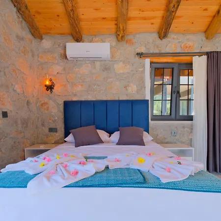 Βίλα Villaoliveterrace