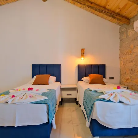Βίλα Villaoliveterrace