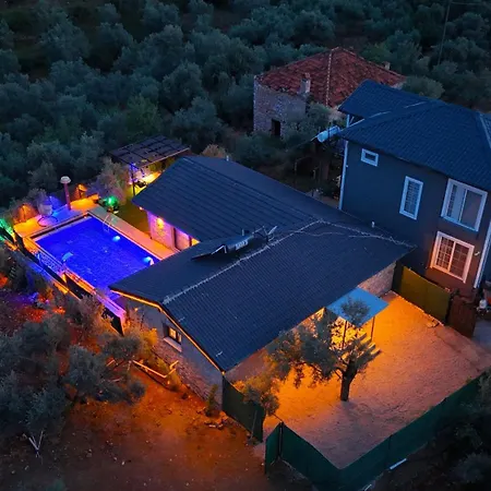 Villaoliveterrace Βίλα