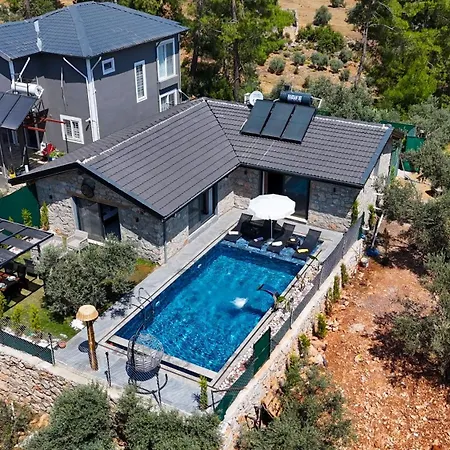 Βίλα Villaoliveterrace