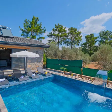 Villaoliveterrace Βίλα *