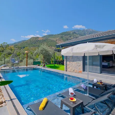 Vila Villaoliveterrace