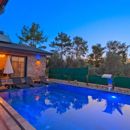 Villaoliveterrace Vila