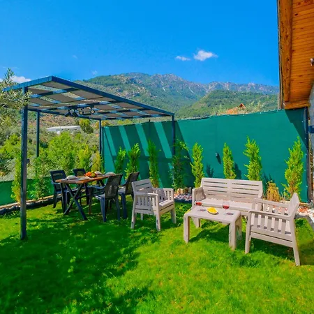 Villaoliveterrace Vila